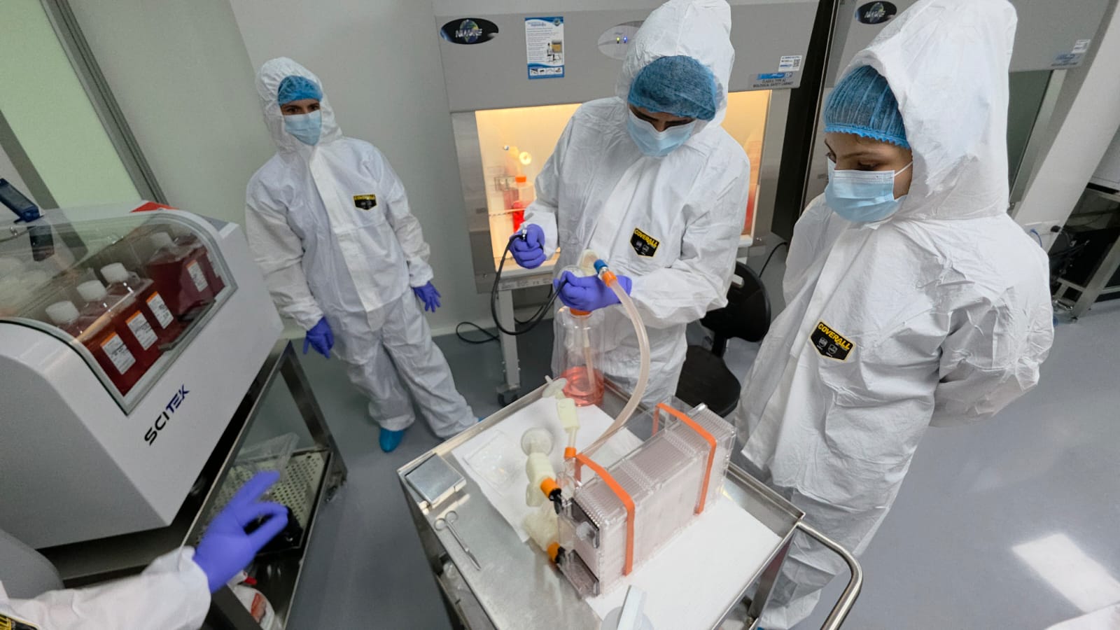 Sala limpia y control de calidad en el laboratorio Stemhealth