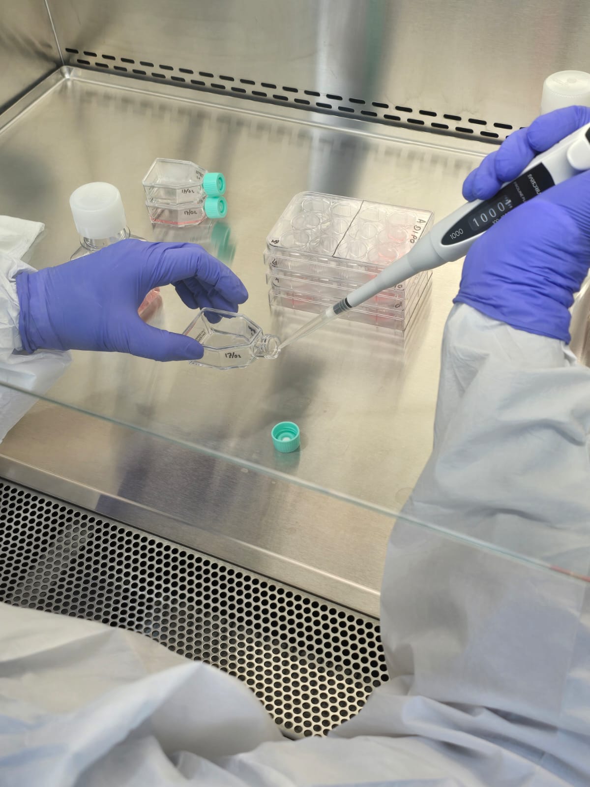 Laboratorio de producción celular Stemhealth
